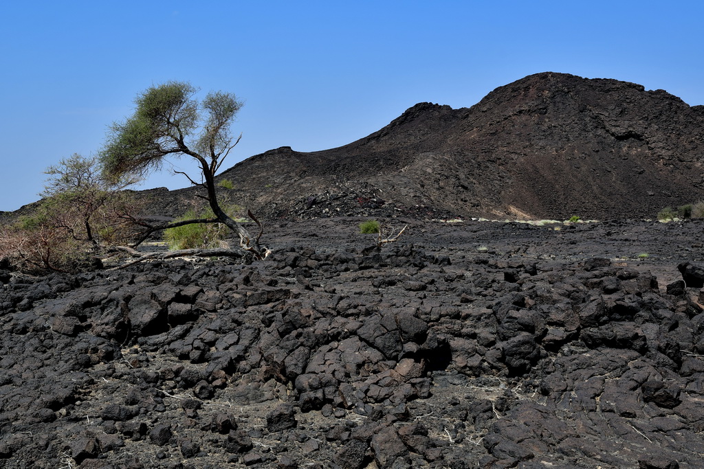 Afdera to Mekele